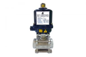 bravo electric actuator with ball valve