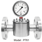 pressure gauge model p761