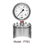 pressure gauge model p763
